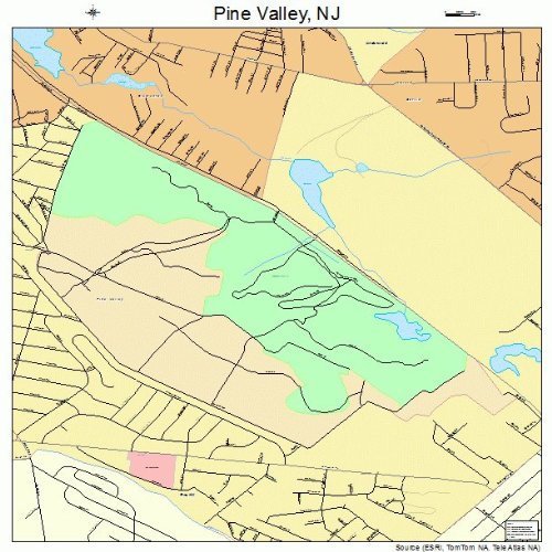 Large Street & Road Map of Pine Valley, New Jersey NJ Printed poster