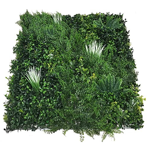 VERDELOOK Vertikal immergrün