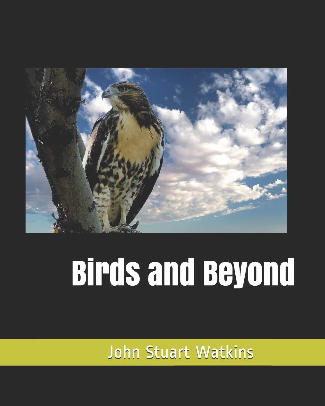 Birds and Beyond