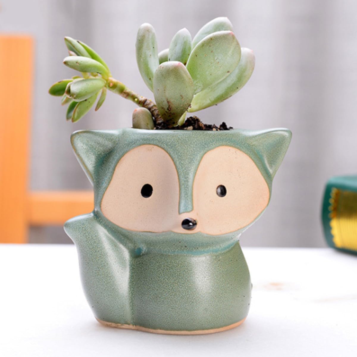 minkissy 4pcs Mini Ceramic Succulent Flower Pots Set, Creative Household Planters in Blue, Green, Yellow, and Purple, Small Round Fleshy Plant Containers for Indoor Gardening and Succulent