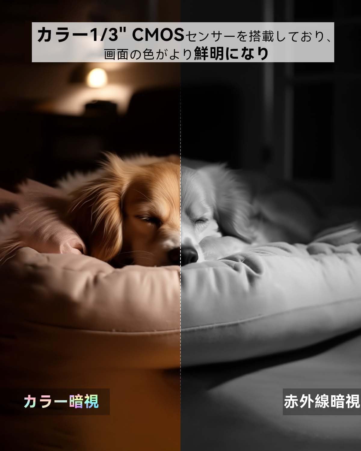 Color Night Vision vs. Infrared Night Vision