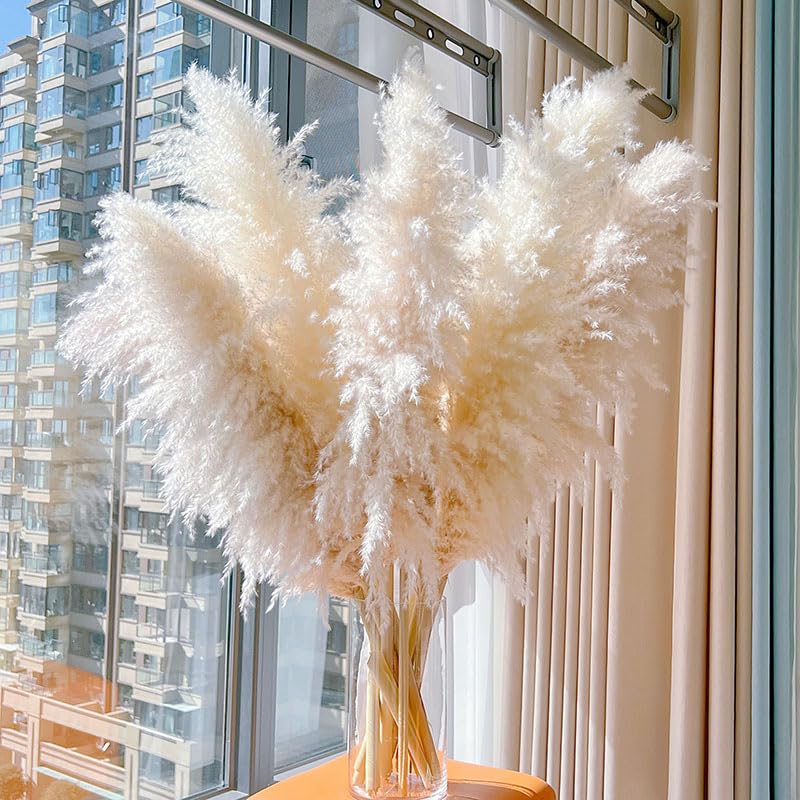 Pampas Grass Grass Natural Seco 120cm 5 Piezas miniatura 3
