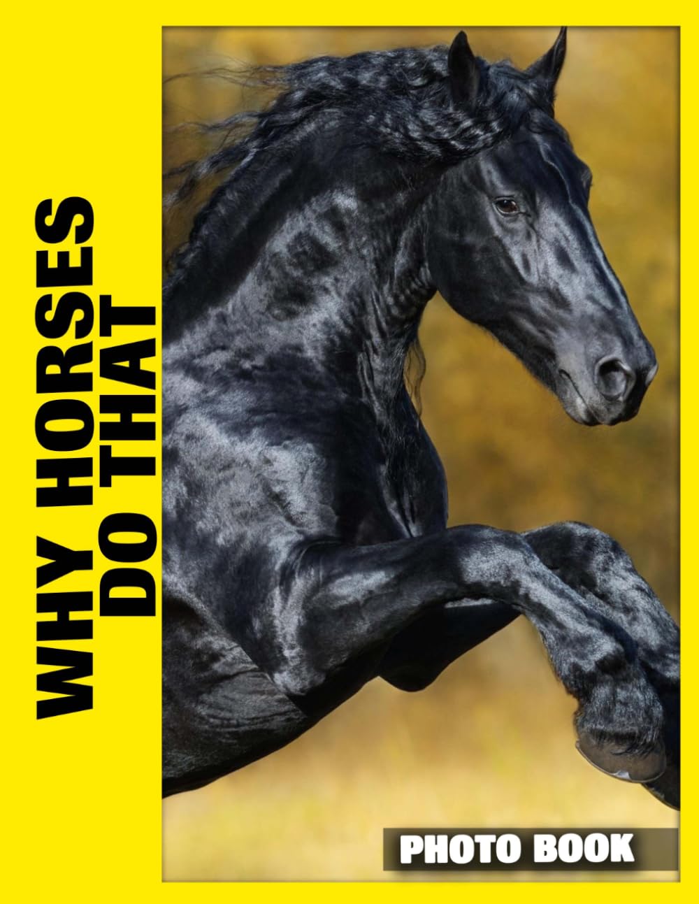 Why Horses Do That Photo Book: Equine Behavior Explained Through Captivating Photography, Revealing Fascinating Horse Habits And Quirky Gestures In Everyday Life