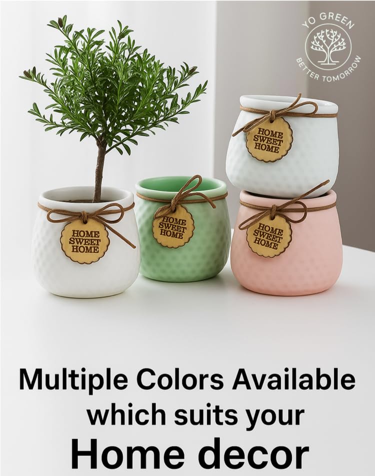 Image of Yo Green Ceramic Plant Pot for Indoor & Outdoor, Modern Planter for Home & Office Decor, Durable, Stylish Finish, Ideal for Tabletop, Shelf, Balcony, Great Gift Idea (Citrus, 4 Inches)