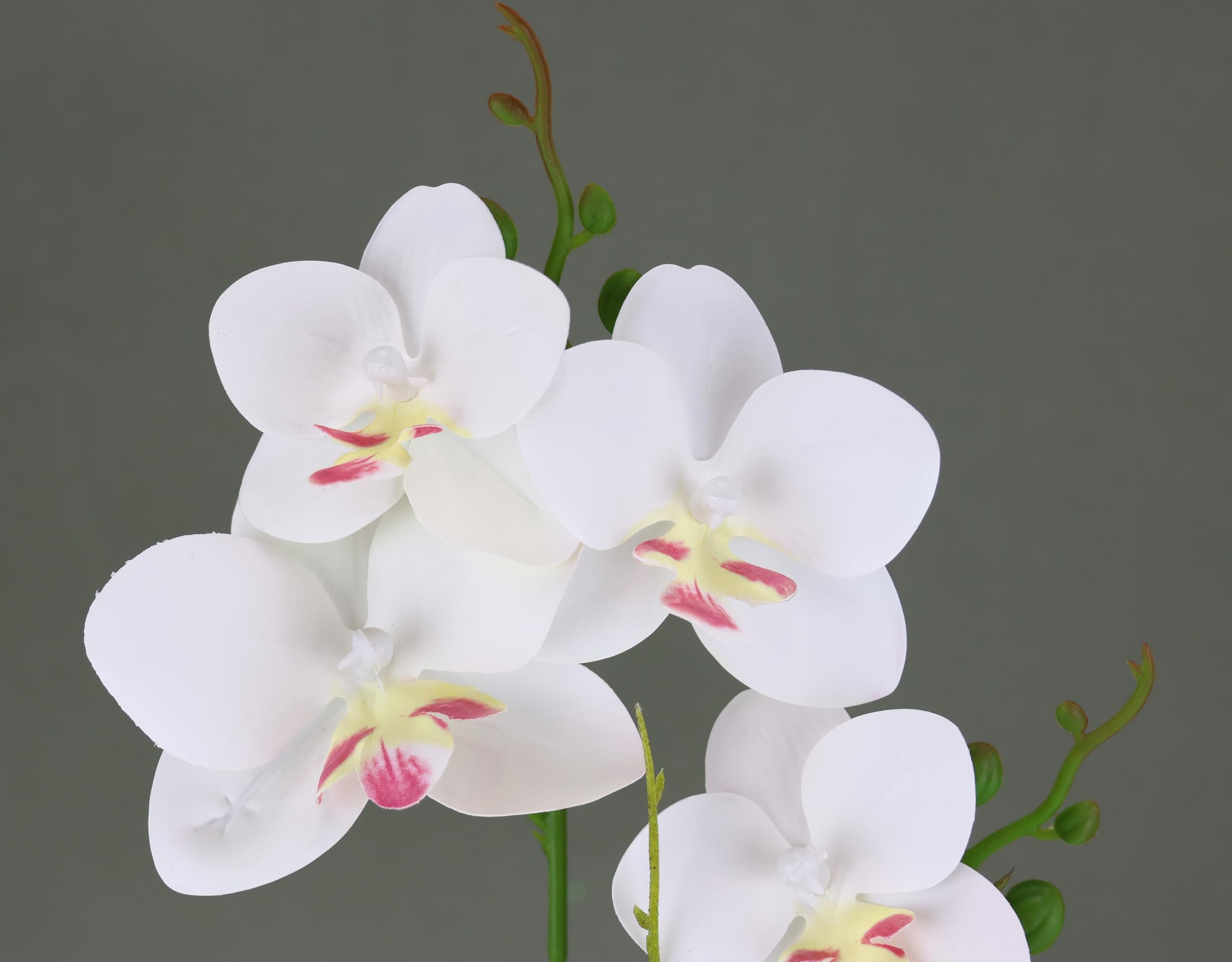 Sztuczny kwiat, motyl, orchidea z liśćmi i korzeniami powietrznymi w doniczce, z ceramiki, sztuczny orchidea, phalaenopsis z doniczką, sztuczna roślina, dekoracja weselna, jedwabny kwiat, prawdziwe w