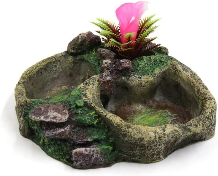 Reptile Water Dish Food Bowl Resin Feeder Bowl for Tortoise Lizard Pet Products (Color : C) (B)