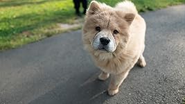 Review Image by Amazon Customer