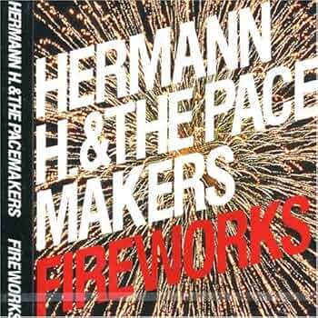 Hermann.H & The Pacemakers フラッグ サイン入り Hermann.H & The Pacemakers フラッグ サイン入り