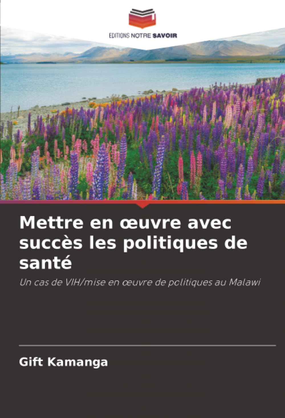 Mettre en œuvre avec succès les politiques de santé: Un cas de VIH/mise en œuvre de politiques au Malawi