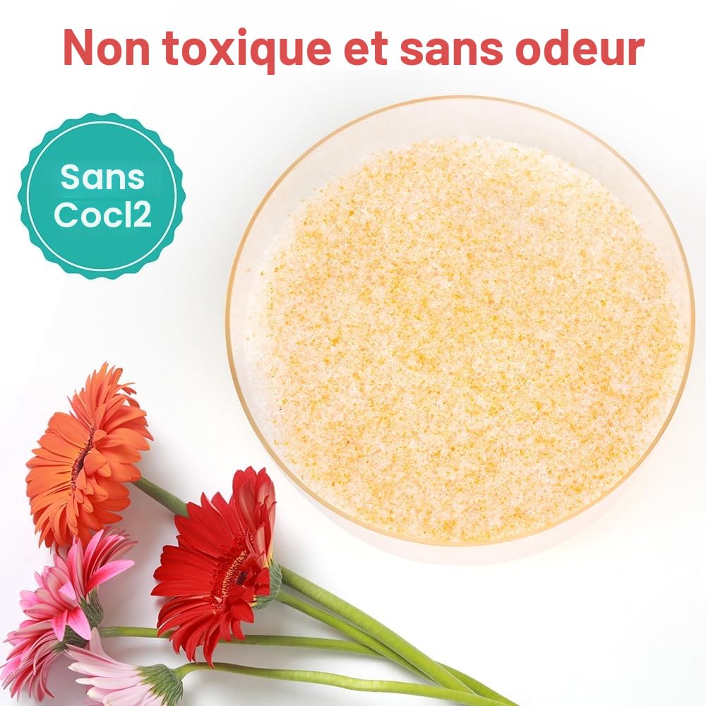 LotFancy Gel de silice pour le séchage des fleurs 2,72 kg (6 LBS), gel de silice avec indicateur, agent de séchage réutilisable, cristaux fins < 1 mm pour les fleurs