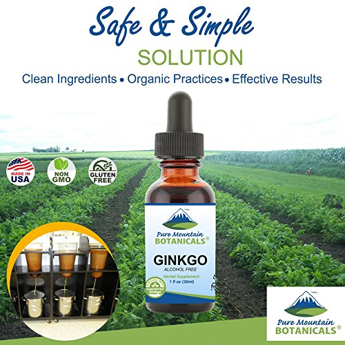 Pure Mountain Botanicals Gingko Biloba Liquid Extract Drops – Alcohol Free Tincture Of Wild Harvest Ginkgo Biloba Leaf Supplement #TOP2