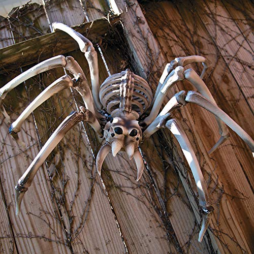Fun Express Giant Spider Skeleton Halloween Decorations Outdoor - 32