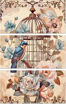 Vintage Birdcage Rub On Transfers for Furniture Craft 6"x12" | 3PCS Waterproof UV DTF Transfers, Easy Rub On Decals for Furniture, Wood, Glass, Porcelain & Decor Projects