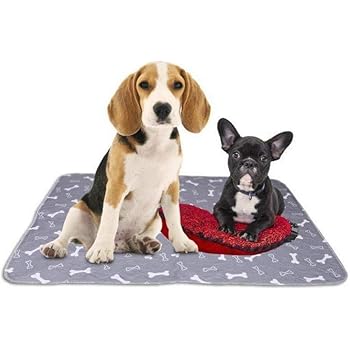 dog pen mat
