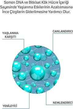 Bitkisel Kök Hücre Ve Somon DNA Cilt Serumu