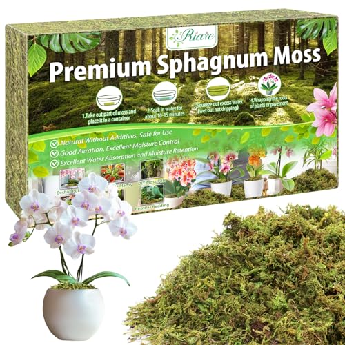 Riare Premium 100g Sphagnum Moss for Plants 4L Natural Moss for Orchids Soft Green Decorative Moss for Succulents Reptiles & DIY Crafts