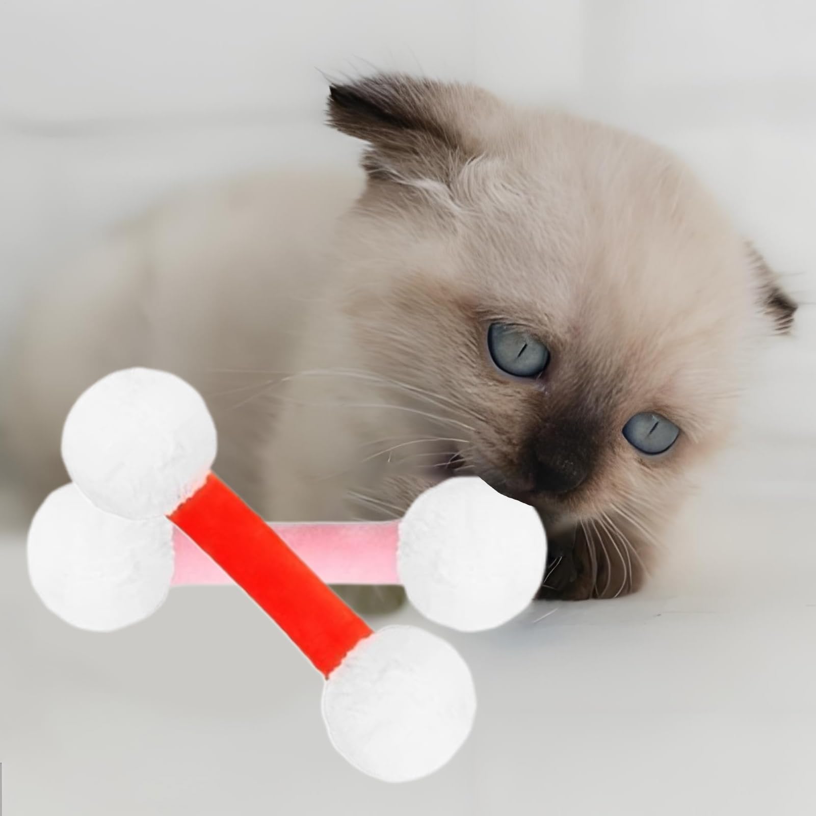 Anneaux de Dentition pour Chaton - Cotons-tiges Jouet pour Chat avec Cataire - Anneau de Dentition d' à Chat Résistant aux Morsures pour Mâcher et Développer Les Dents en Extérieur et en