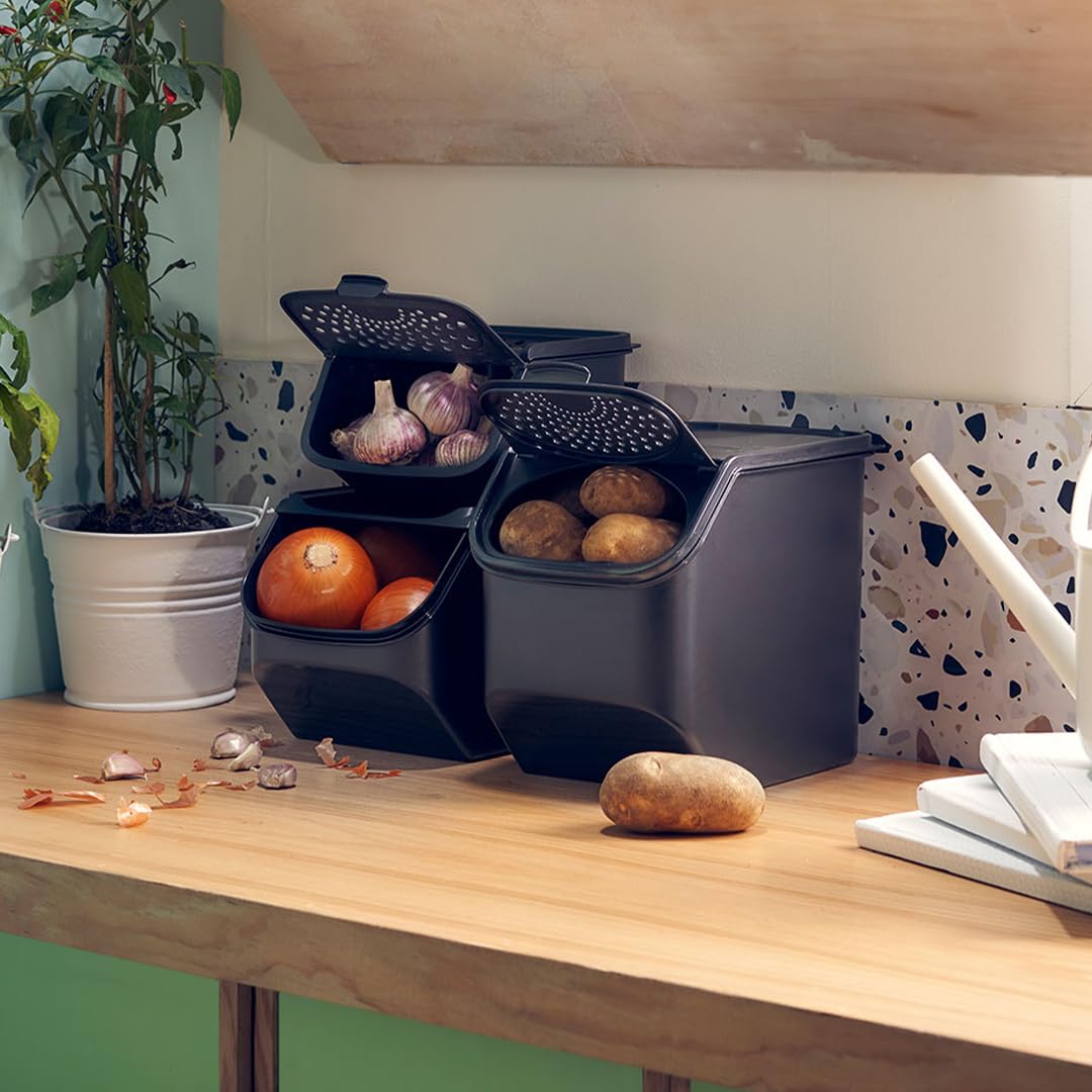 Tupperware OnionSmart - Frischhaltebehälter für Zwiebel - 5,5L Aufbewahrungsbox für Zwiebel - längere Haltbarkeit durch Luftzirkulation - beugt Gerüche vor