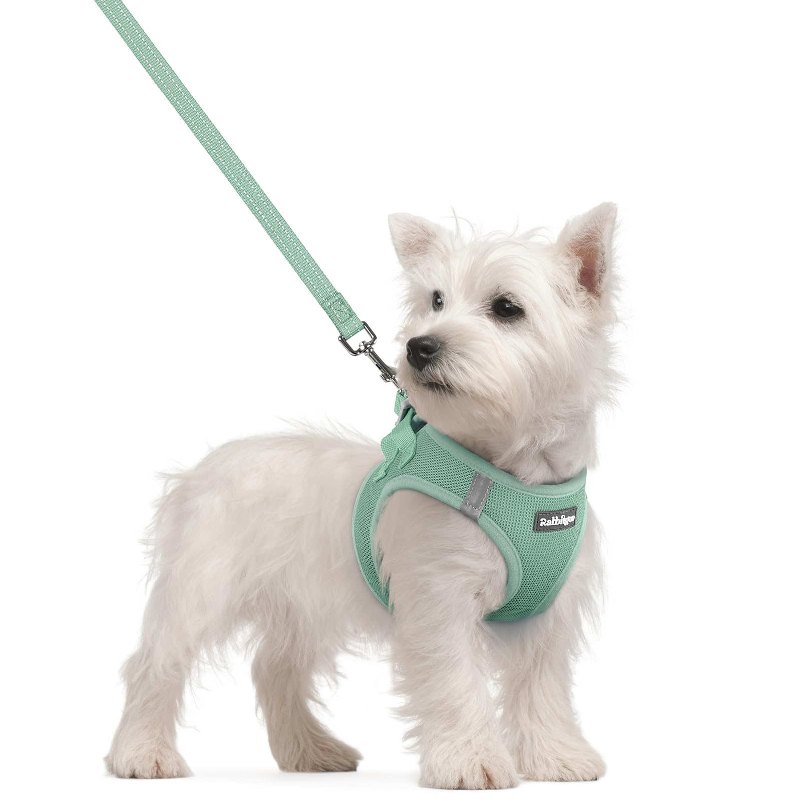 rabbitgoo Dog Harness Small Sized and Leash Set, Step-in Puppy Pet Vest