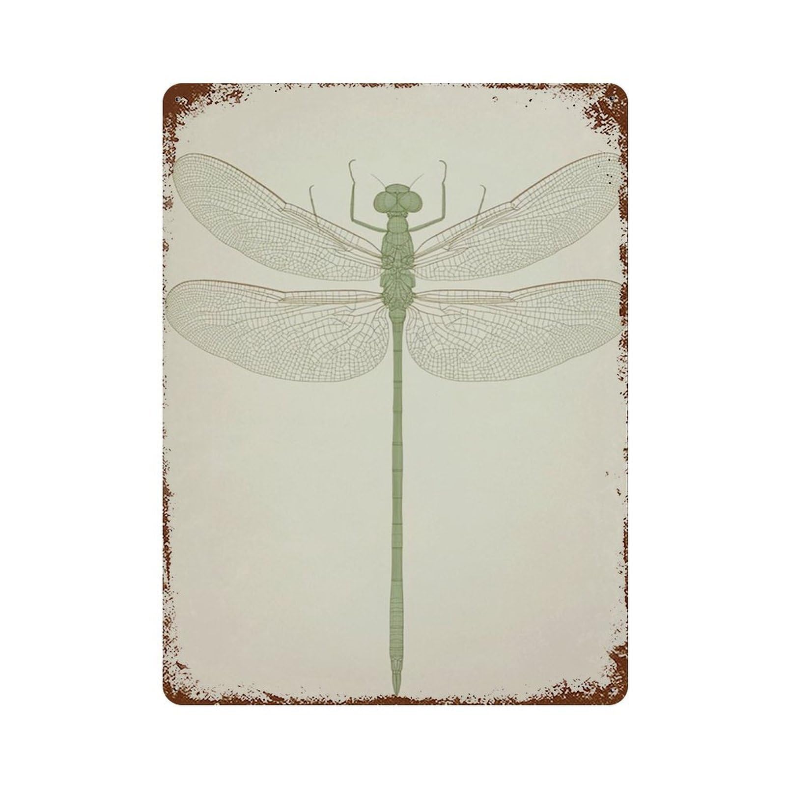 xiaoxiaoshen Dragonfly Botanical Minimal Insect Neutral Nature Scientific Work Wall Decor Art Metal Tin Poster Modern Home Decor Art Home Bar Shop Decorations Vintage Sign 40x30cm