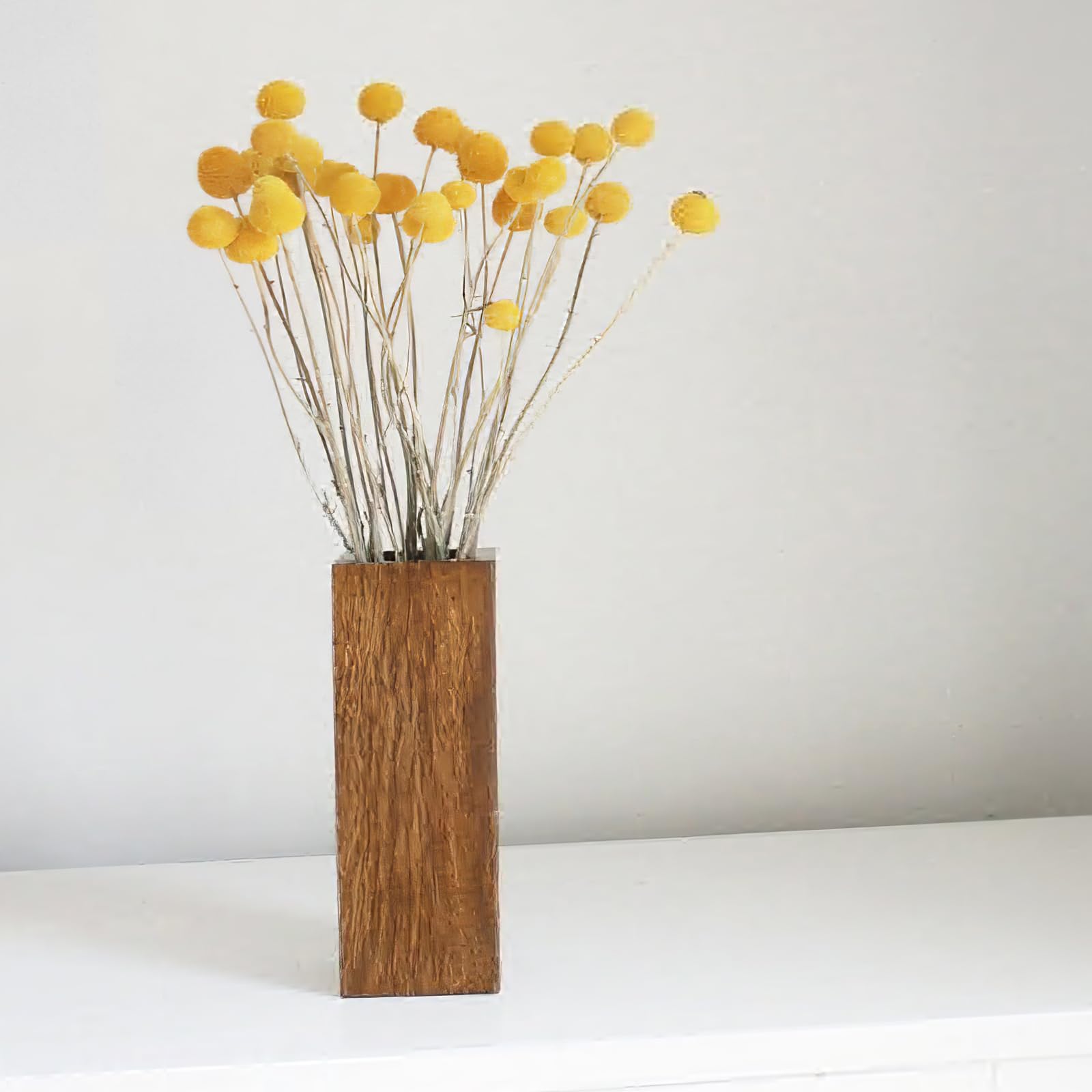 CITYES - Lot de 20 boules de fleurs séchées naturelles Craspedia Billy avec boutons de bille, bouquet de fleurs séchées pour arrangement floral, mariage, maison, grand vase, artisanat, décoration