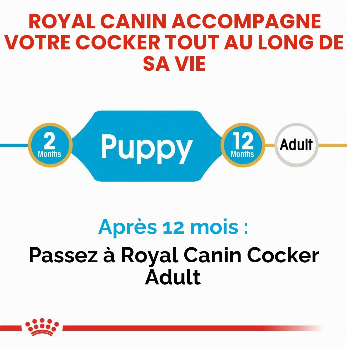 ROYAL CANIN COCKER JUNIOR sac de 3 kg/Croquettes pour chiot COCKER de 2 à 12 mois