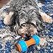 SPOT Bam-Bones Plus Gigglers Dumbbell Durable Dog Chew Toy, for Medium Aggressive Chewers, Bamboo Fiber & Nylon, Dual Texture, Massaging Rubber Ends, Peanut Butter Flavor, 5.5 in