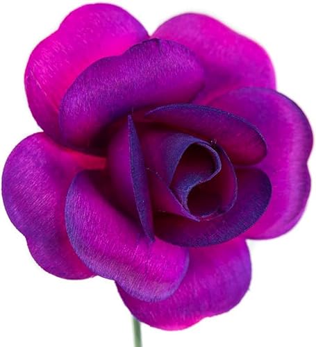 Miniatura 2 de 6 rosas de color rosa intenso con puntas moradas, rosas de madera de brote abierto por completo para manualidades, ramos personalizados y otros