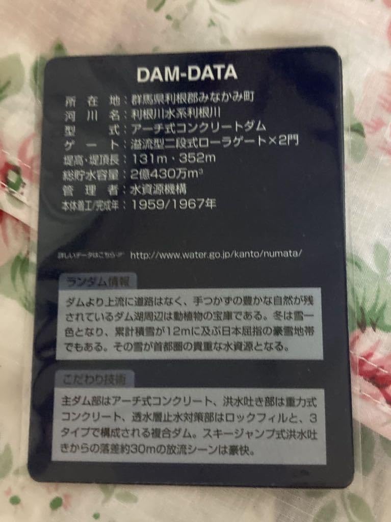ダムカード　12種類　17枚 Amazon.co.jp: ダムカード 群馬県矢木沢ダム50周年記念カード2枚