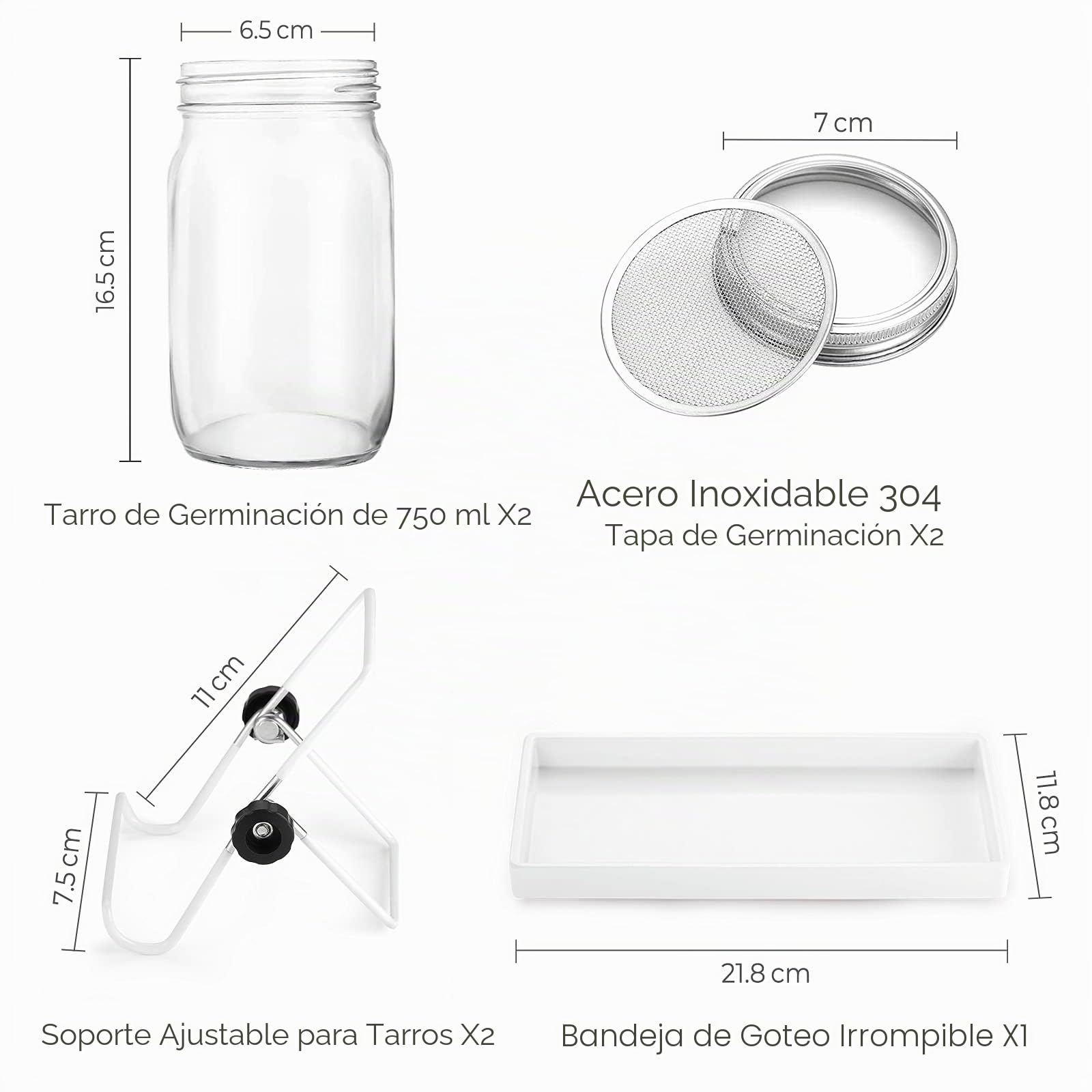 ecooe Sprossen - Juego de 2 vasos de germinación para brotes de cristal con 1 cuenco de agua, 2 cubiertas de rejilla de filtro de acero inoxidable 304 y 2 soportes