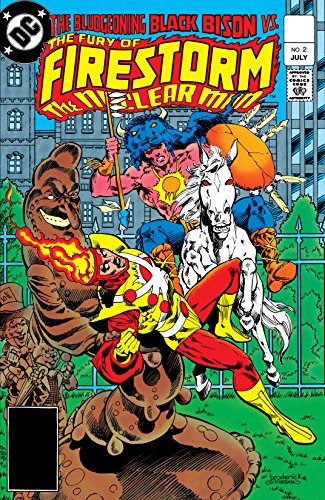 Cover of The Fury of Firestorm (1982-1990) #2
