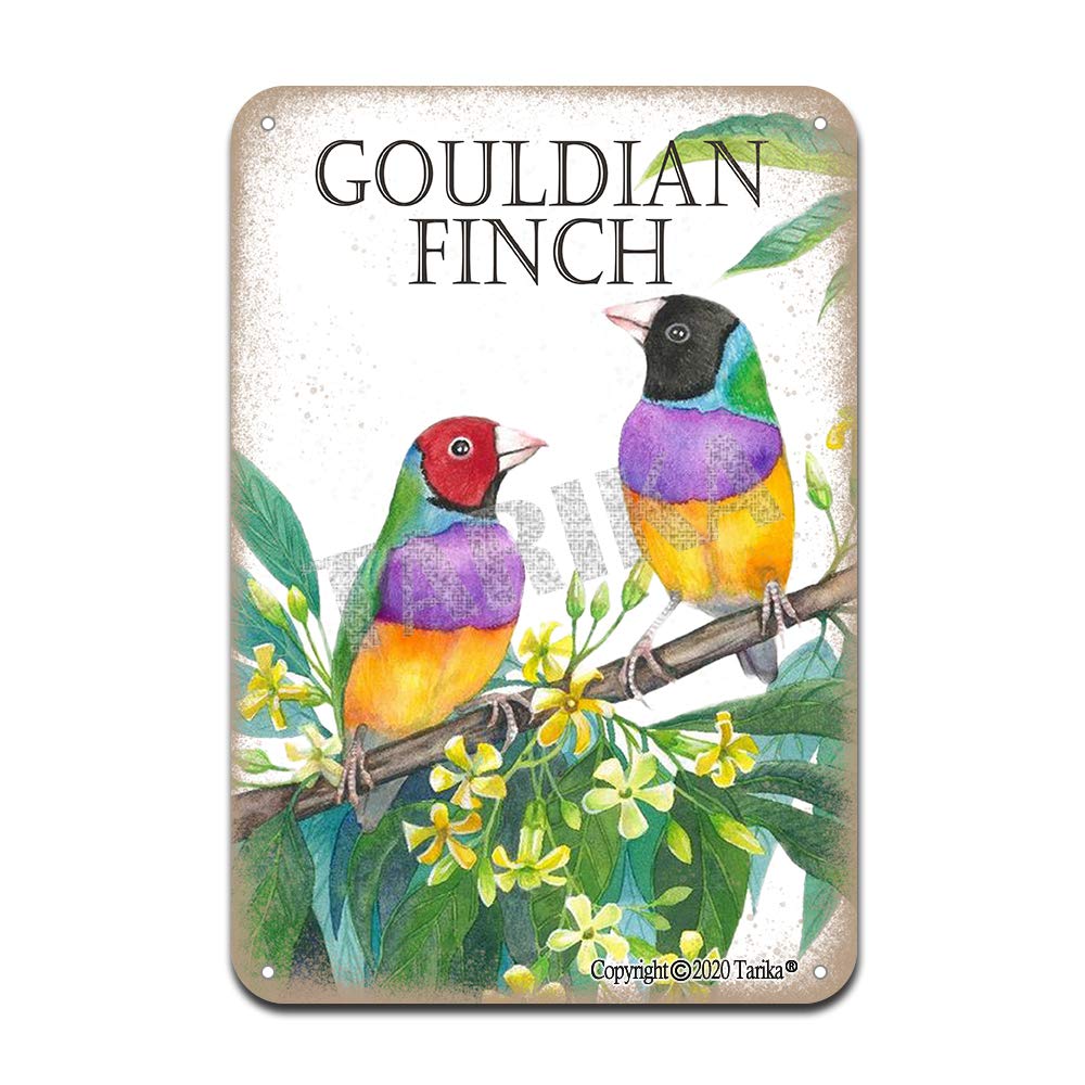 Tarika Gouldian Finch Bird Vintage Look Iron 8X12 Inch Decoration Crafts Sign For Home Kitchen Bathroom Farm Garden Garage Inspirational Quotes Wall Decor