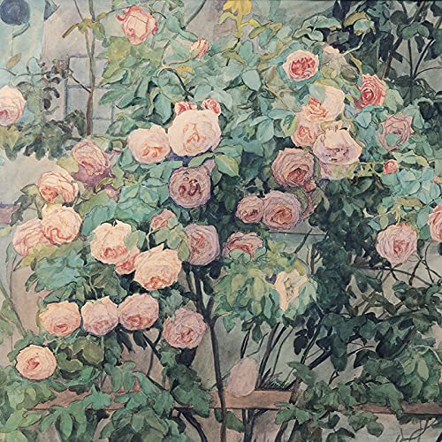 Fotomurale 360x250 Entretela con Foto Pegatina de Jardín de Rosas Viejas para Paredes 3