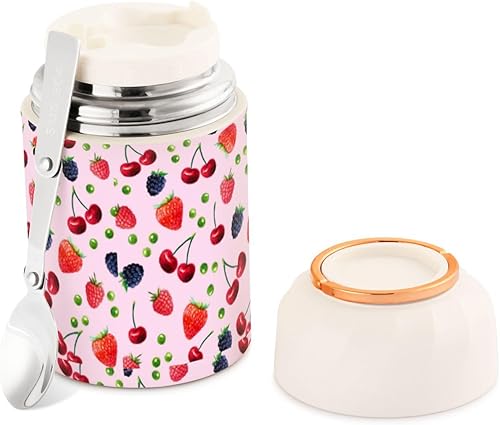 MCHIVER Cherry Strawberry Fruits Food Jar with Spoon Stainless Steel Vacuum Insulated Food Container 17 oz Food Flask for Lunch