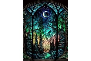 bleihum - DIY Starry Night Diamond Painting Kit: A Captivating Art Experience for Adults