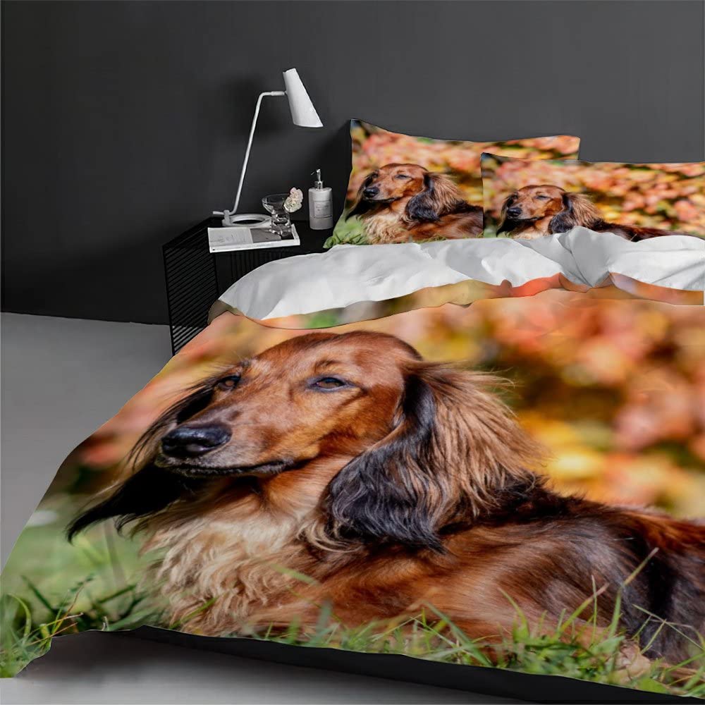 3D Bettwäsche 135x200 Cm Dackel-Muster - Weiche Mikrofaser 3-teilig