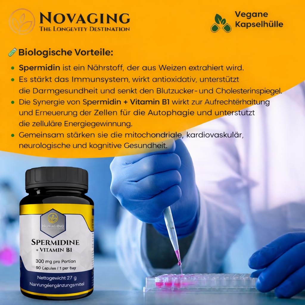 Spermidin 6 mg + Vitamin B1 – 90 Kapseln 100% vegan | 3 Monate – Präzise dosiert. Maximale Bioverfügbarkeit. Getestet auf Gentechnik und Allergene. Made in Europe. Novaging©