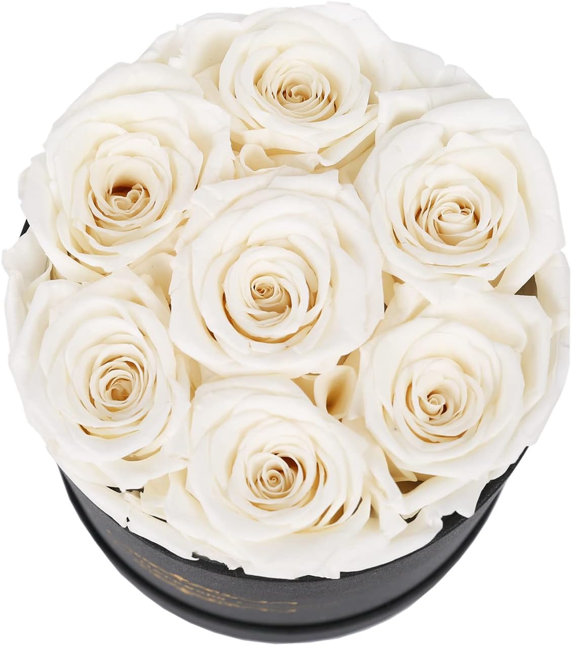 NATROSES 7 Piece Preserved Roses in a Box, Preserved Flowers for Birthday, Flower Gifts for Mothers Day (White) - Image 5