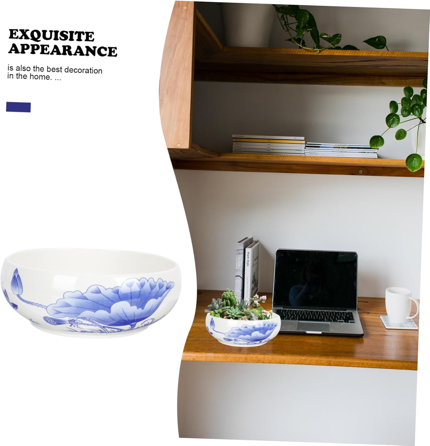 Toddmomy Hydroponic Plant Pot Blue and White Porcelain Succulent Dish Ceramic Flowerpot for Home Office Decoration 10 Inch Indoor Planter Drainage