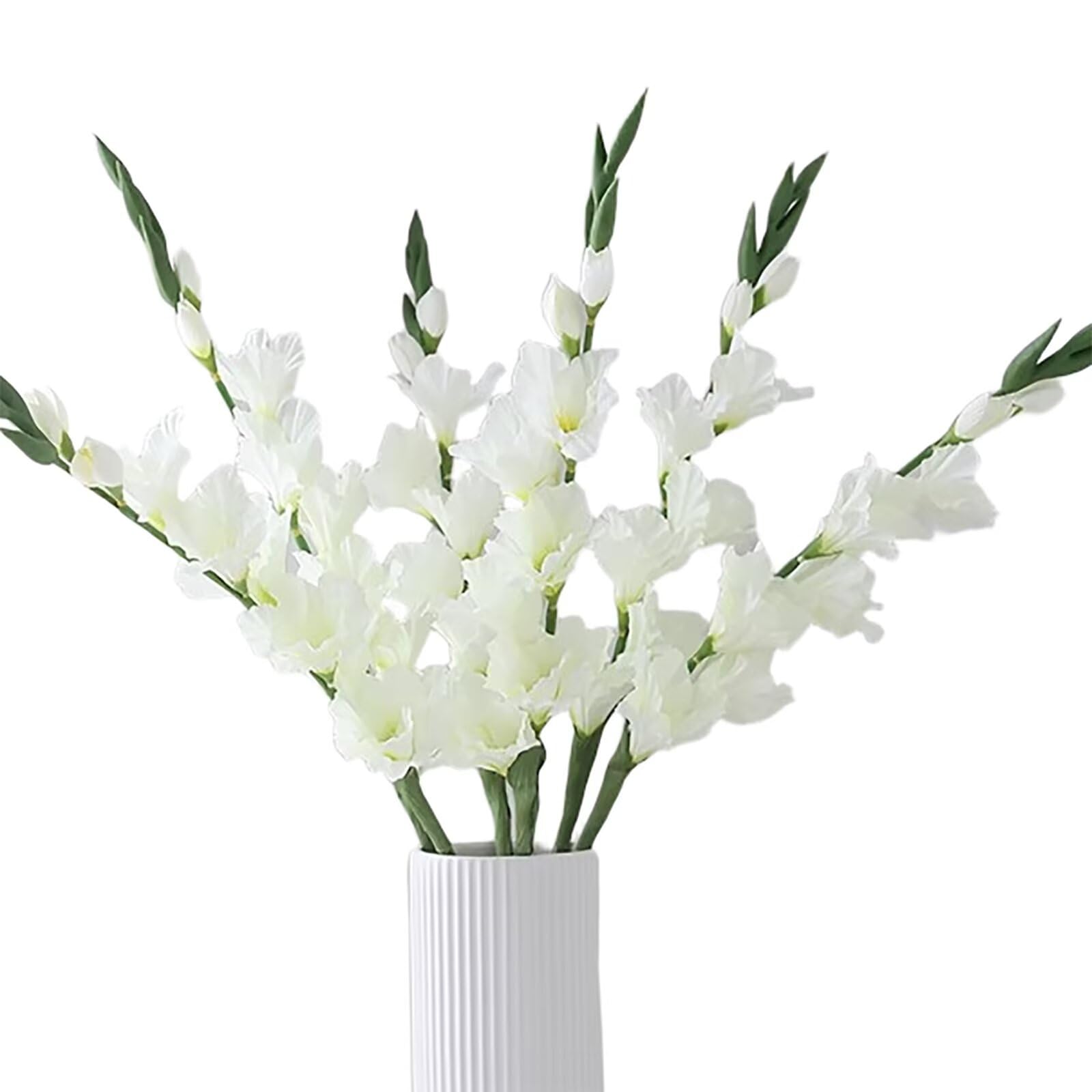 product_img5