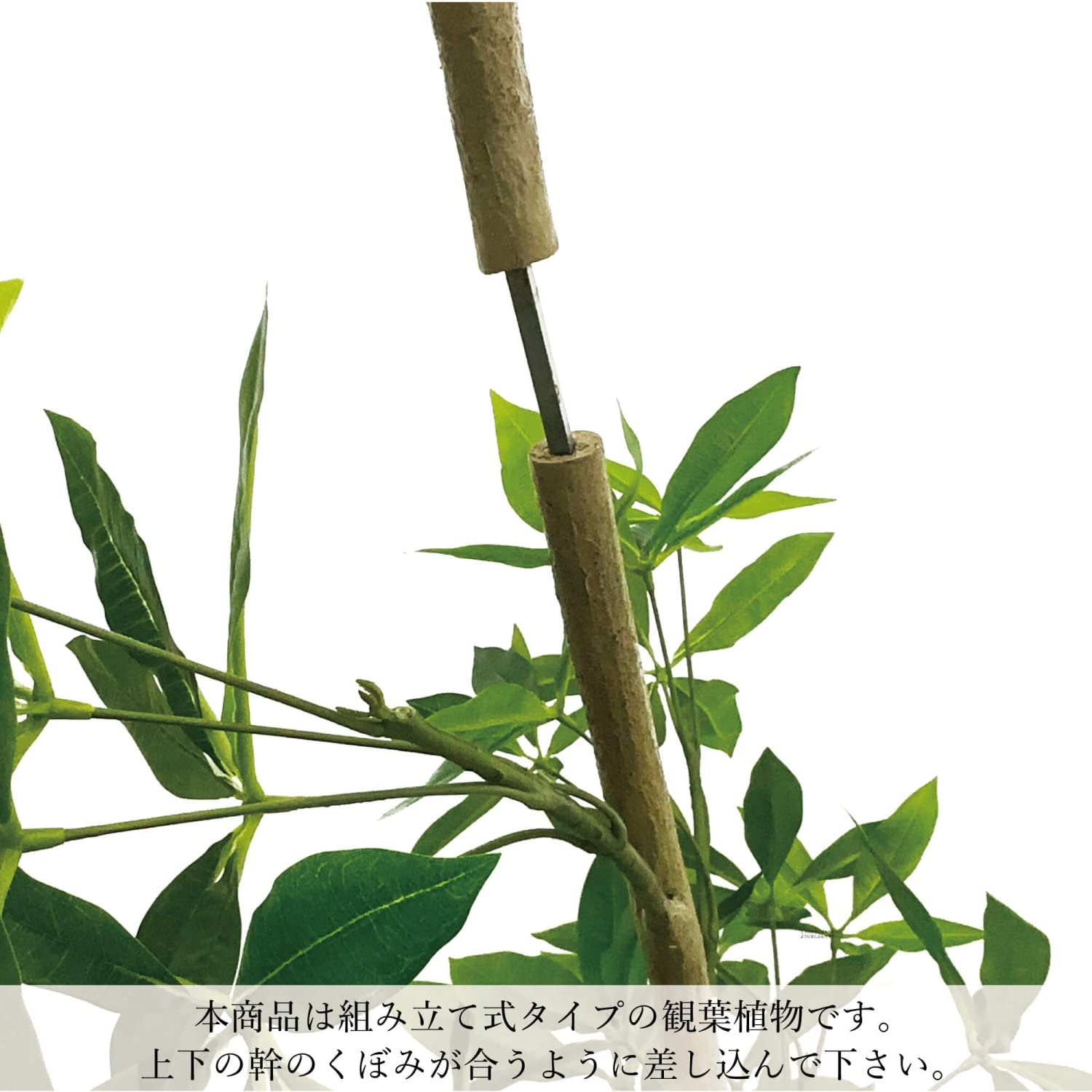 Amazon｜ツイストアルテシマ キューブ H200cm 観葉植物 フェイク 