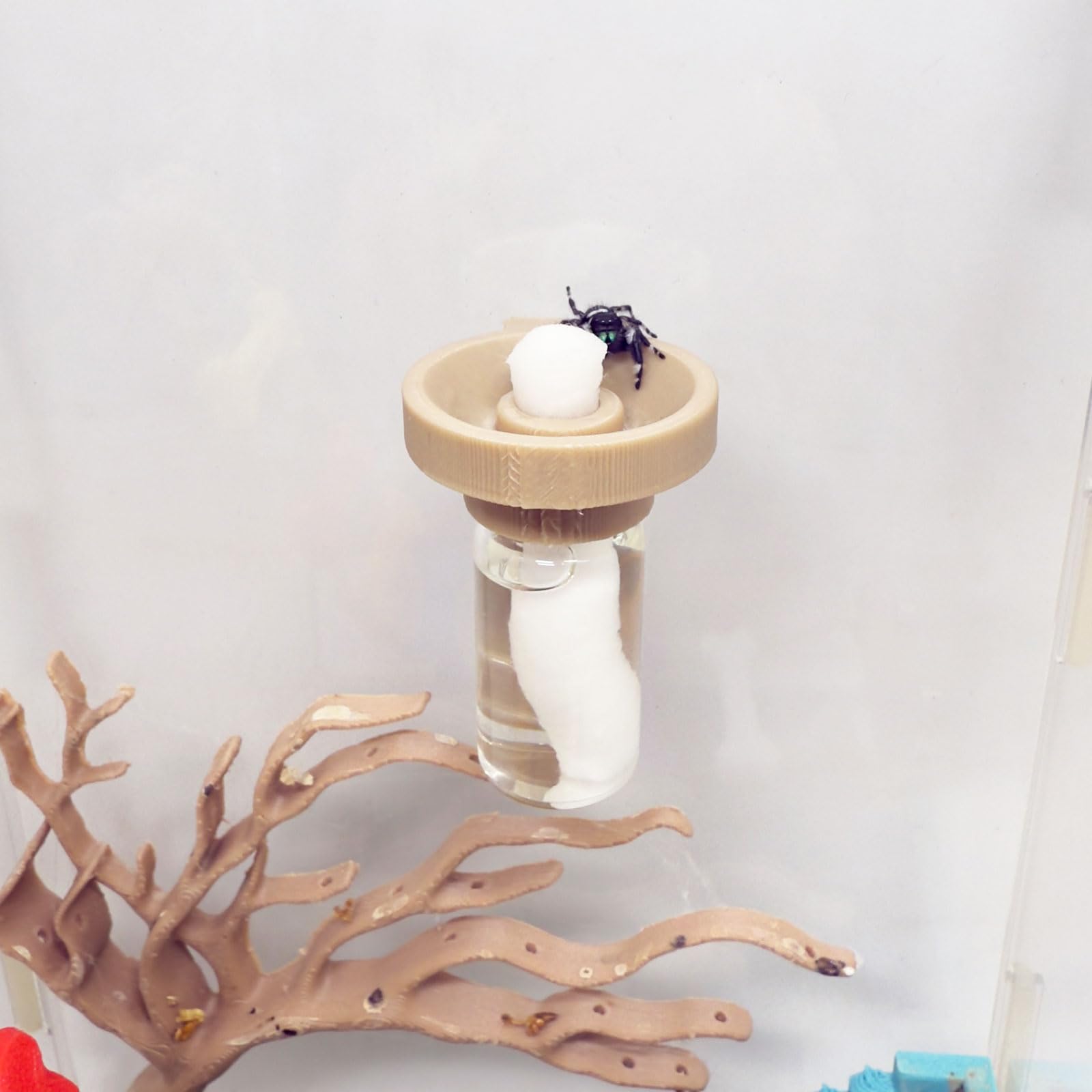 Jumping Spider Water Dispenser, Magnetic Hanging Feeder,Suitable for Jumping Spiders,Tarantulas, Praying Mantises,Arboreal Animals, and Other Small Animal Enclosure Accessories (Wood Color, 5ML)
