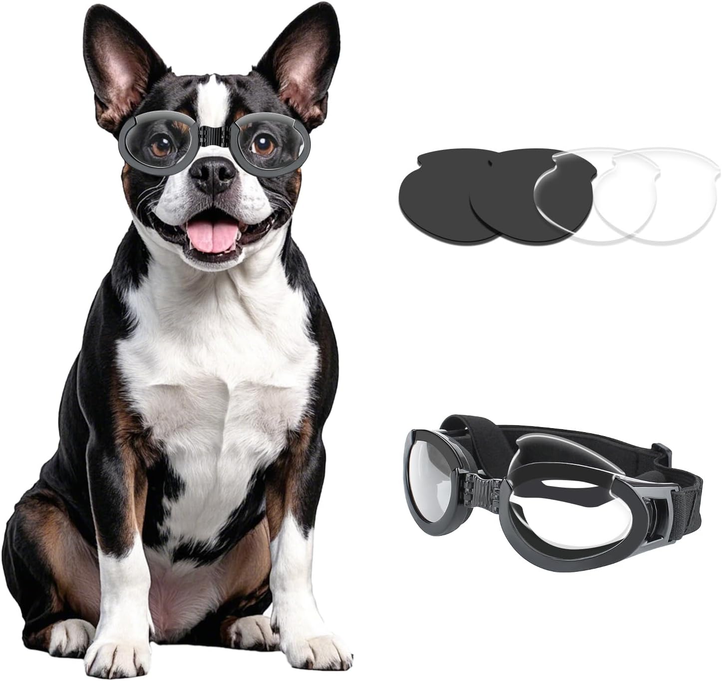 Enjoying Dog Goggles for Small...