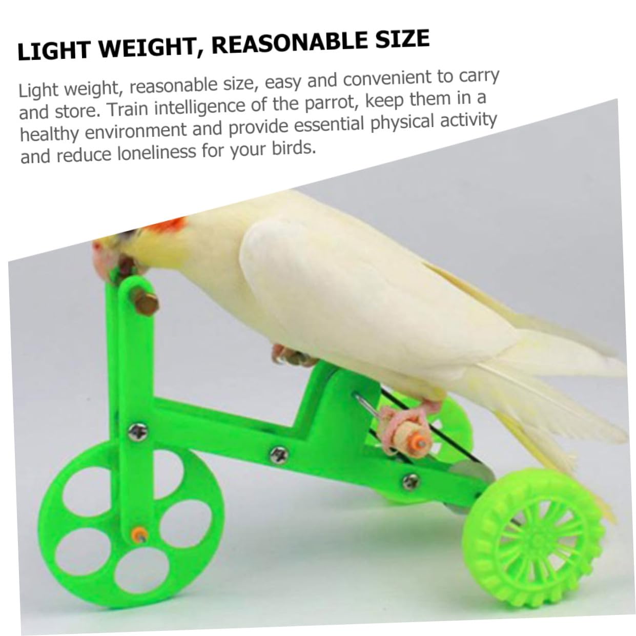 BESPORTBLE 4 Juegos De Juguetes De Entrenamiento De Inteligencia para Loros Juguetes Educativos para Pájaros para Pájaros para Loros En Bicicleta.