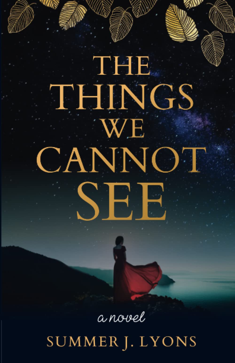 The Things We Cannot See: A Novel