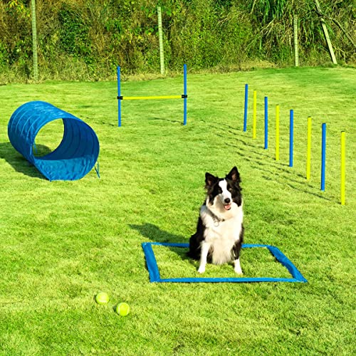 15 Best Dog Agility Equipment Kits in 2020 (For Beginners and Advanced)