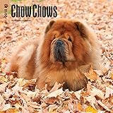 Chow Chows 2018 12 x 12 Inch Monthly Square Wall Calendar, Animals Dog Breeds