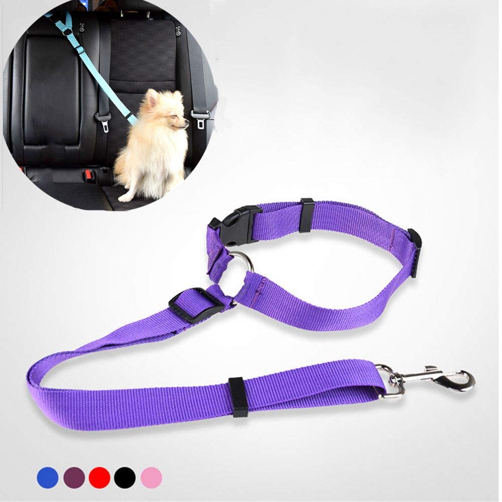 Seil Haustier Pet Products Universal Praktische Katze Hunde Sicherheit Einstellbar Auto Sicherheitsgurt Kabelbaum Leine Welpe Sicherheitsgurt Reise Clip Strap Leitungen Haustierleine Mit ( Size : Red