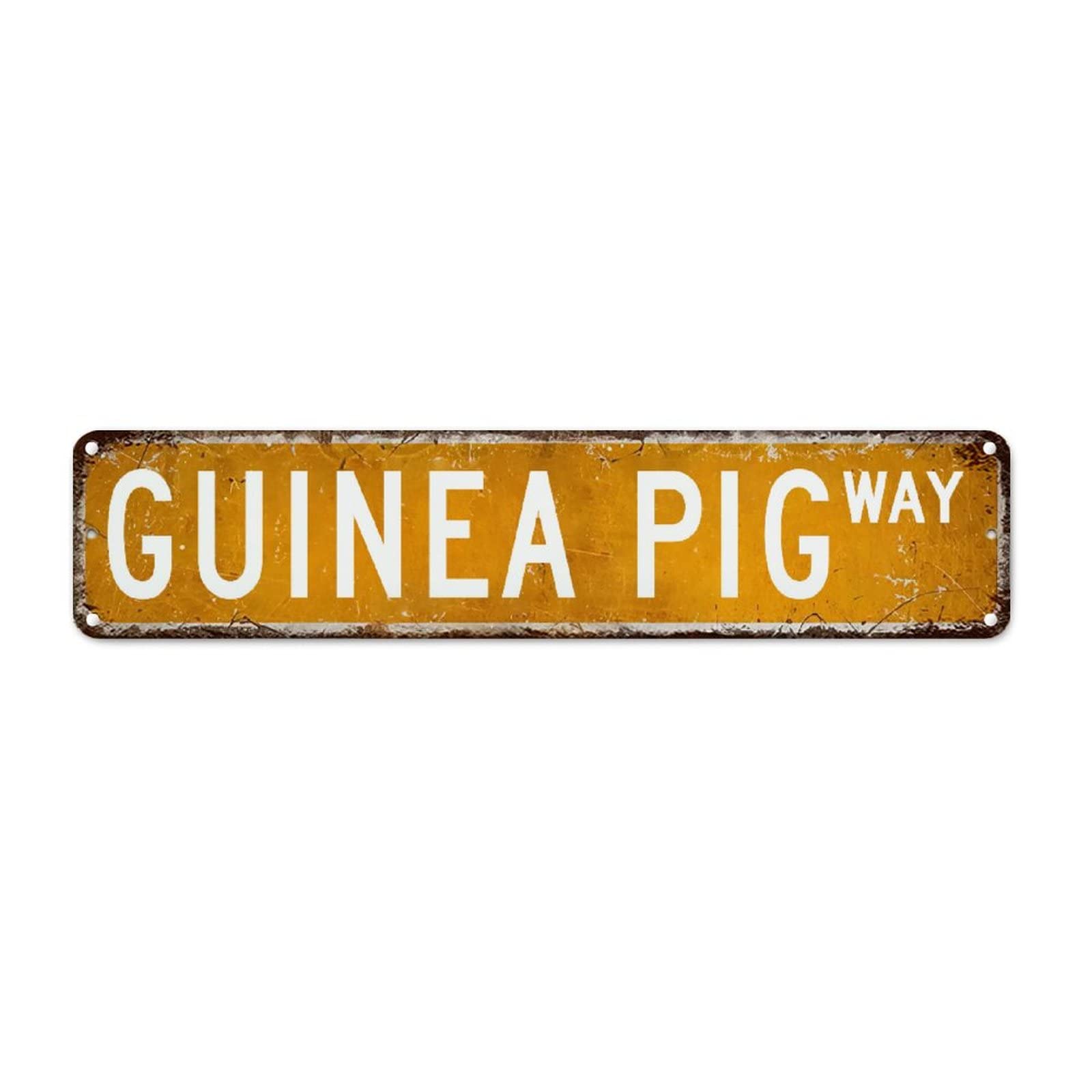 Guinea Pig Retro Style Metal Tin Sign Guinea Pig Gift Rustic Porch Signs Pet Animal Breed Name Metal Tin Plaque Wall Decor Metal Street Signs Home Quality Sign For Kitchen Bedroom Front Porch