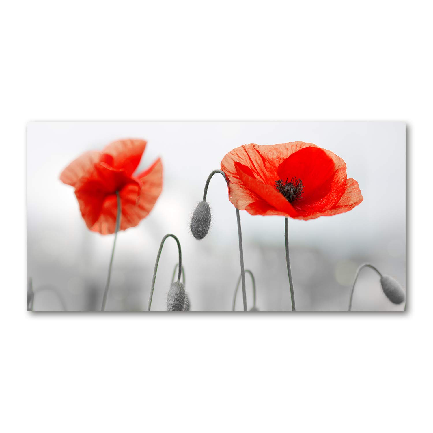Tableau en verre acrylique Tulup 120x60 cm déco murale format panorama design moderne